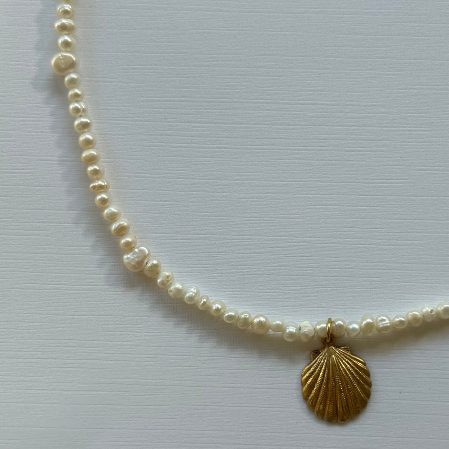 Pearl necklace with a gold shell pendant on a white background